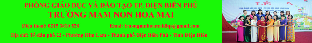 Trường Mầm non Hoa Mai - Phường Điện Biên Phủ